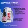 Esencia Lavanda